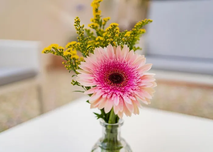 Ammare アグリジェント